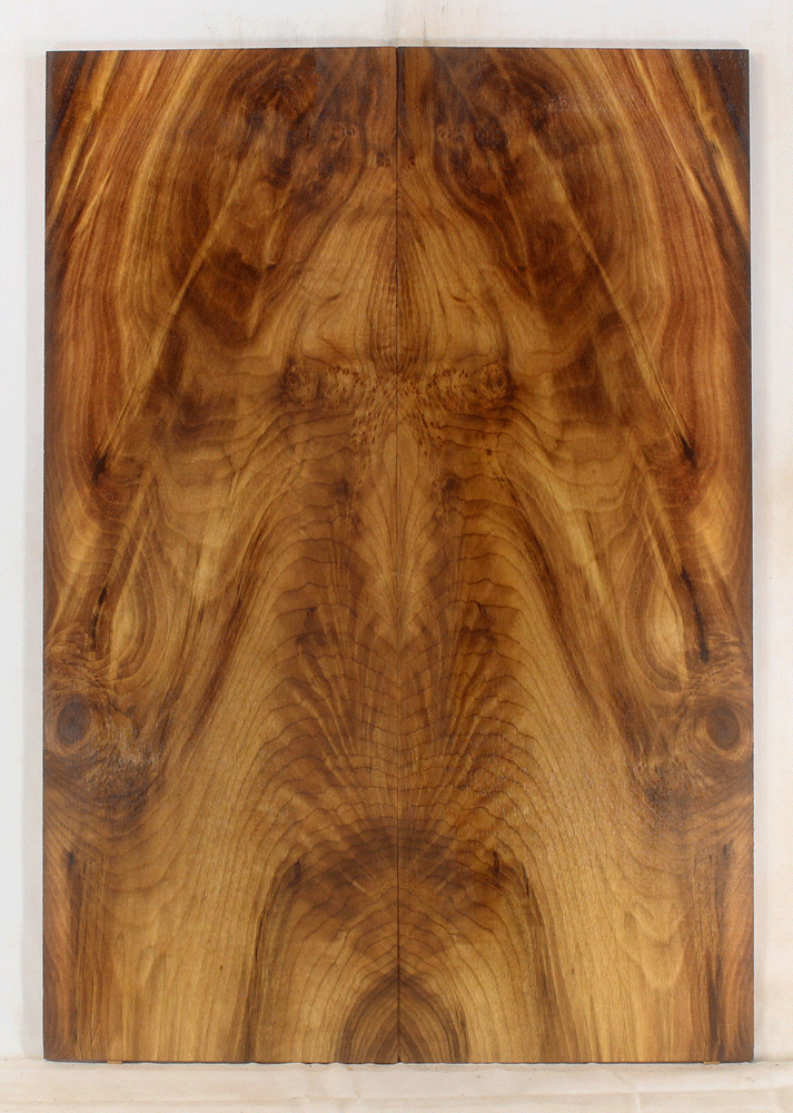 Myrtle Solid Body Guitar Top