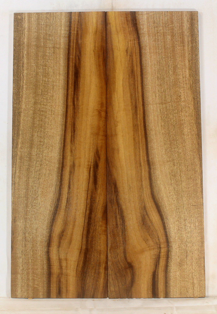 Myrtle Electric Solid Body Droptop Guitar Top 