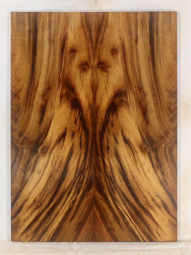 Myrtle Solid Body Guitar Top