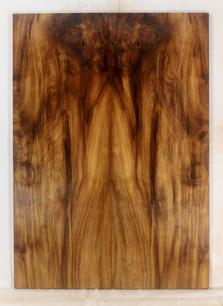 Myrtle Solid Body Guitar Top