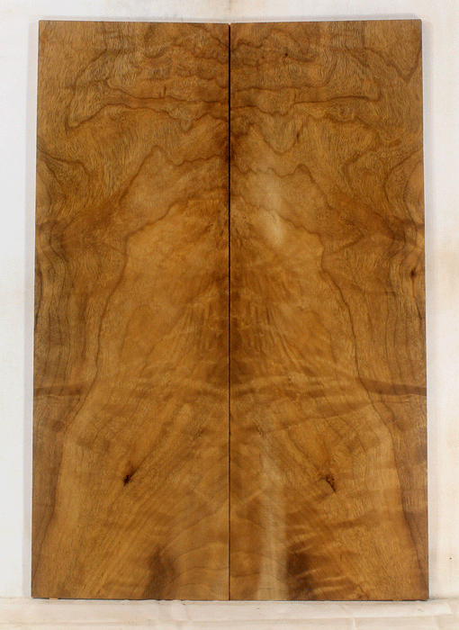 Myrtle Electric Solid Body Guitar Top