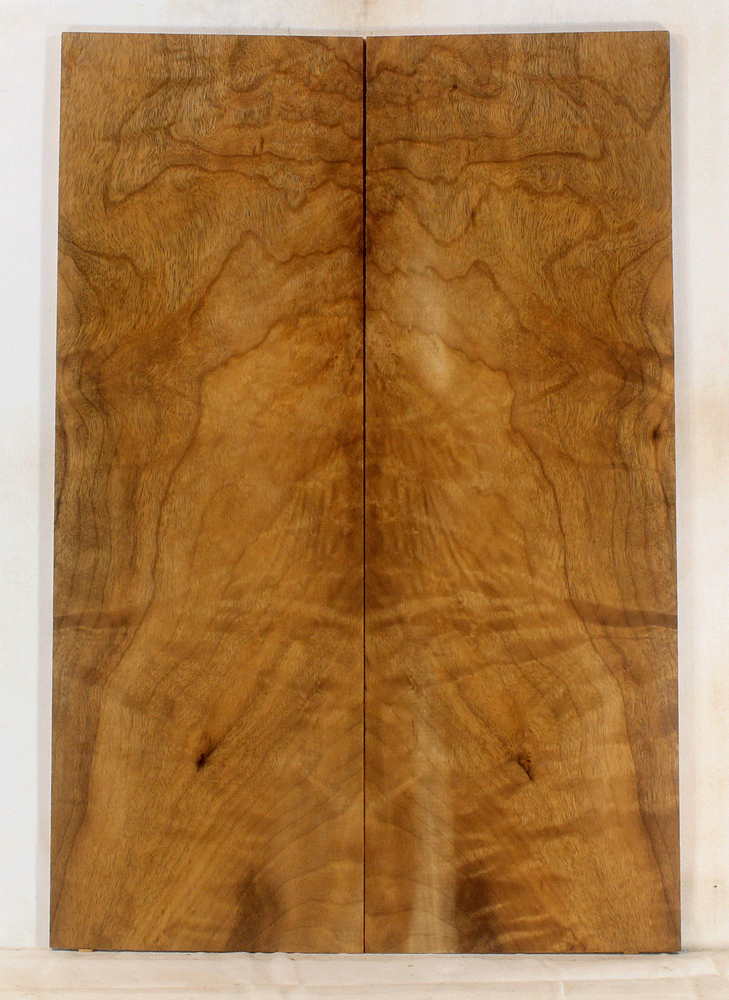 Myrtle Electric Solid Body Guitar Top