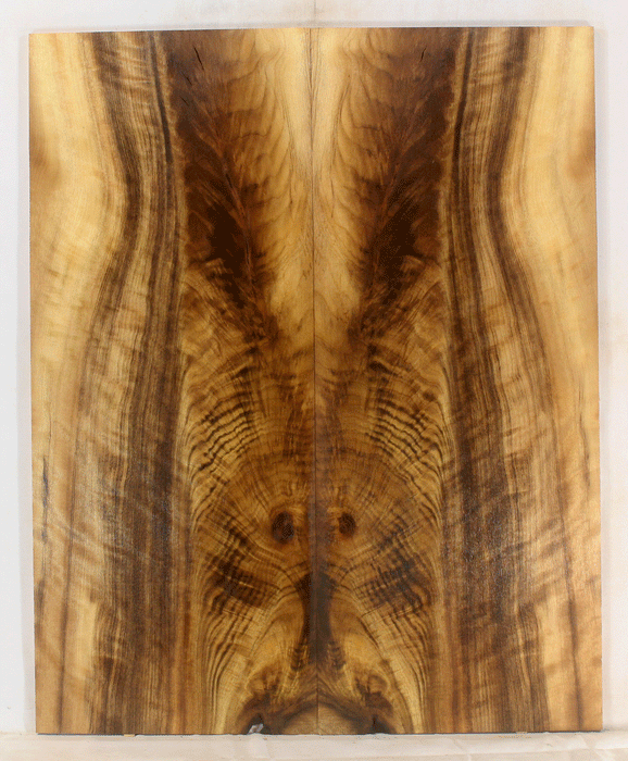 Myrtle Electric Guitar Top