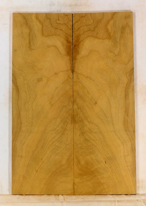 Myrtle Electric Solid Body Droptop Guitar Top, Amazing Color and Contrast and Figure (KP51)