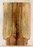 Pistachio Solid Body Guitar Drop Top, The Perfect Top for Your Electric guitar, Recovered From Orchards in Central California Making it the Most Eco-Friendly and Sustainable Guitar Wood (KP56)