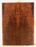 Redwood Guitar Soundboard