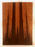 Redwood Soundboard