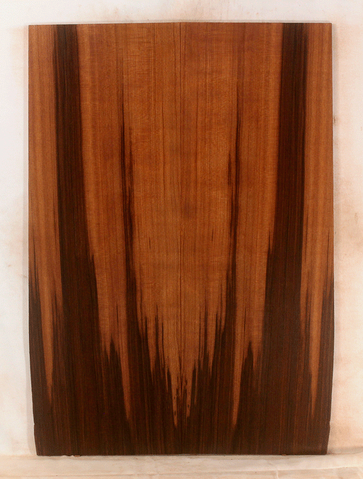 Acoustic Guitar Soundboard