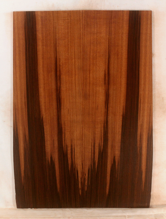 Acoustic Guitar Soundboard