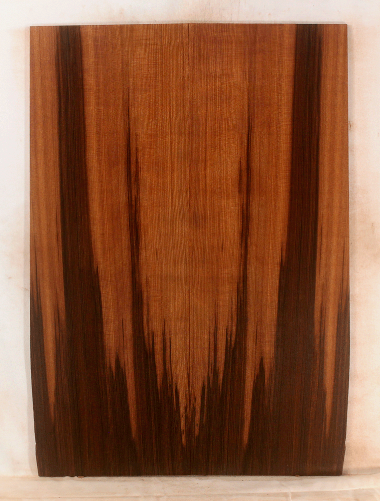 Acoustic Guitar Soundboard