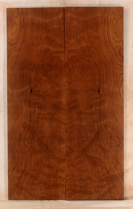 Redwood Electric Guitar Droptop