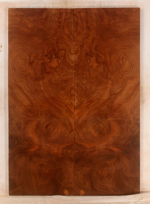 Redwood Electric Guitar Droptop