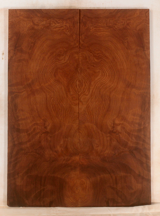 Redwood Electric Guitar Droptop