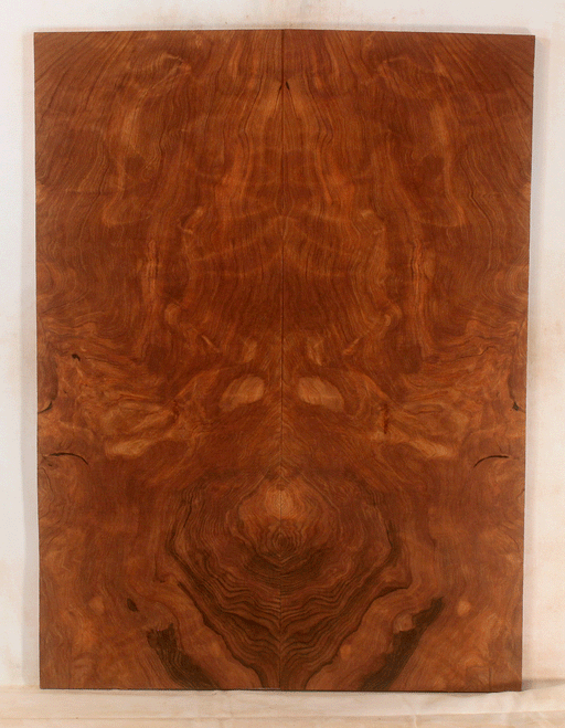 Redwood Solid Body Droptop