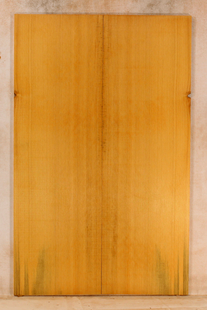 Port Orford Cedar 3/4 Size Soundboard