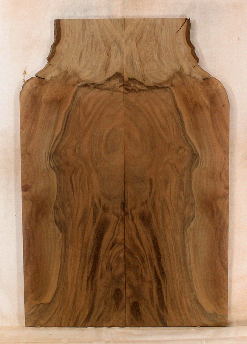 Claro Walnut Electric Solid Body Droptop, Excellent Color and Contrast, Orchard Recovery – Eco Friendly (KS43)