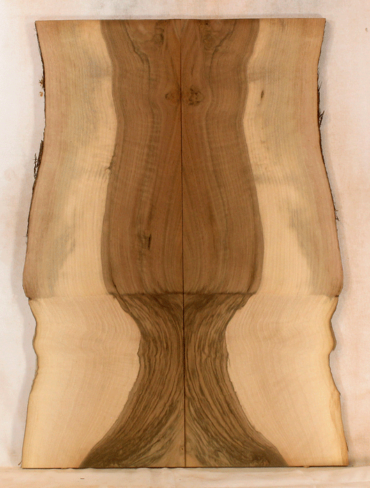Claro Walnut Electric Solid Body Droptop, Excellent Color and Contrast, Orchard Recovery – Eco Friendly (KS44)