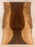 Claro Walnut Solid Body Electric Guitar Top