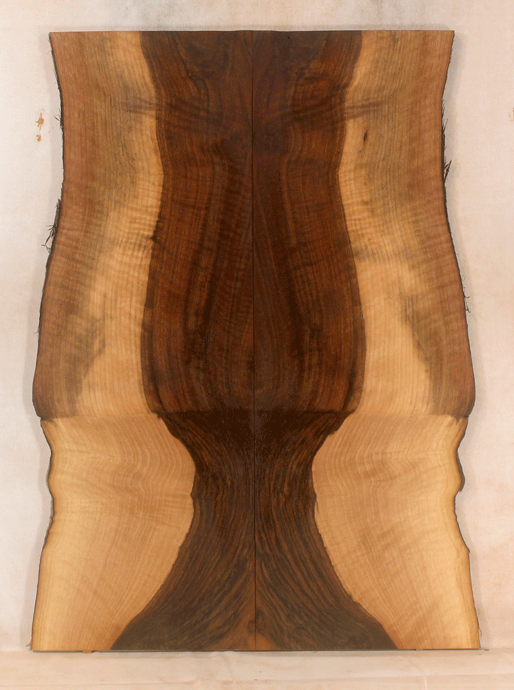 Claro Walnut Solid Body Electric Guitar Top