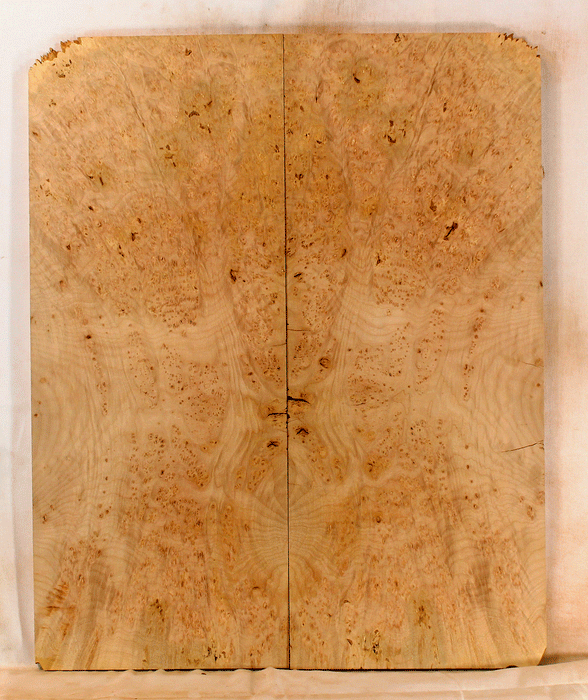 Big Leaf Maple Solid Body Electric Guitar Fat Top, Excellent Color and Contrast, Eco-friendly and Sustainable Guitar Wood, Will Add a Warm and Bright Tone (KS49)