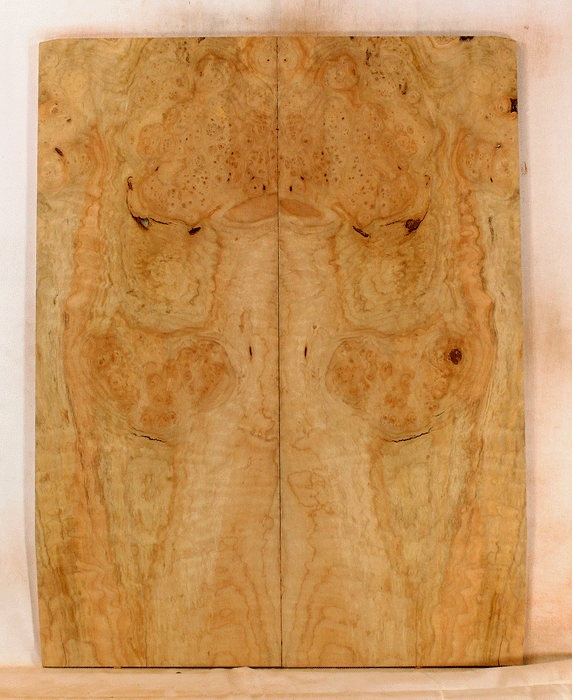 Big Leaf Maple Solid Body Electric Guitar Drop Top, Excellent Color and Contrast, Eco-friendly and Sustainable Guitar Wood, Will Add a Warm and Bright Tone (KS51)