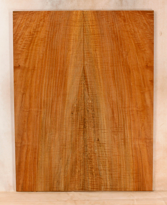 Maple Solid Bod Electric Guitar Top