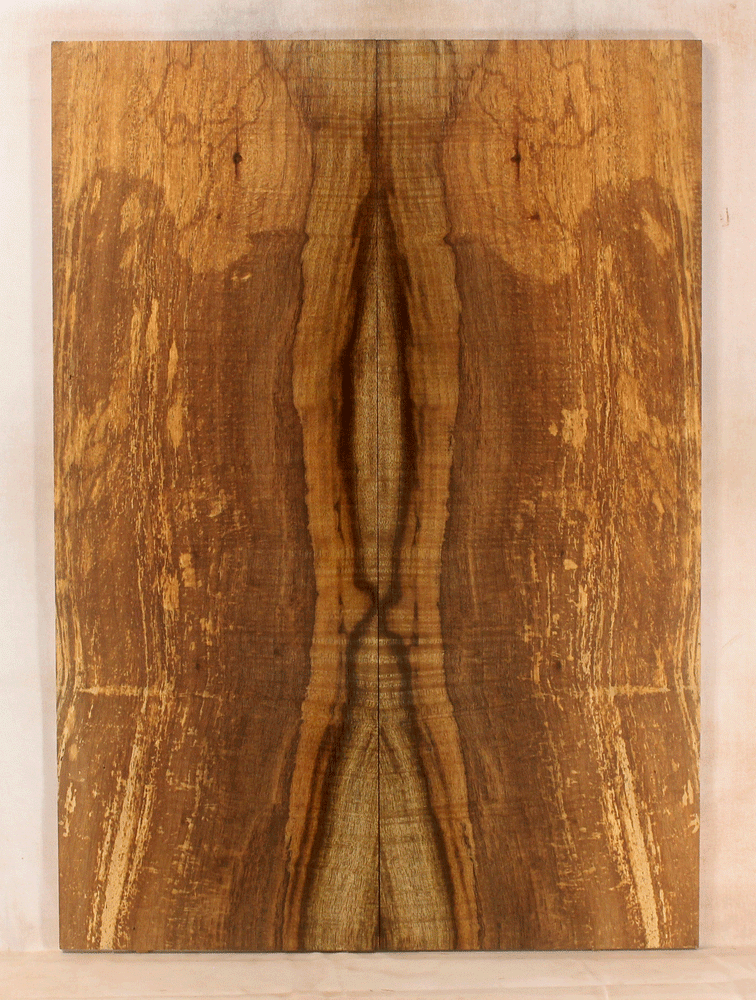 Myrtle Solid Body Guitar Top