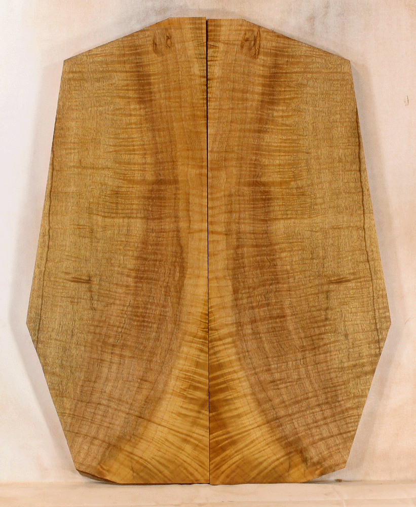 Myrtle Electric Guitar Top 
