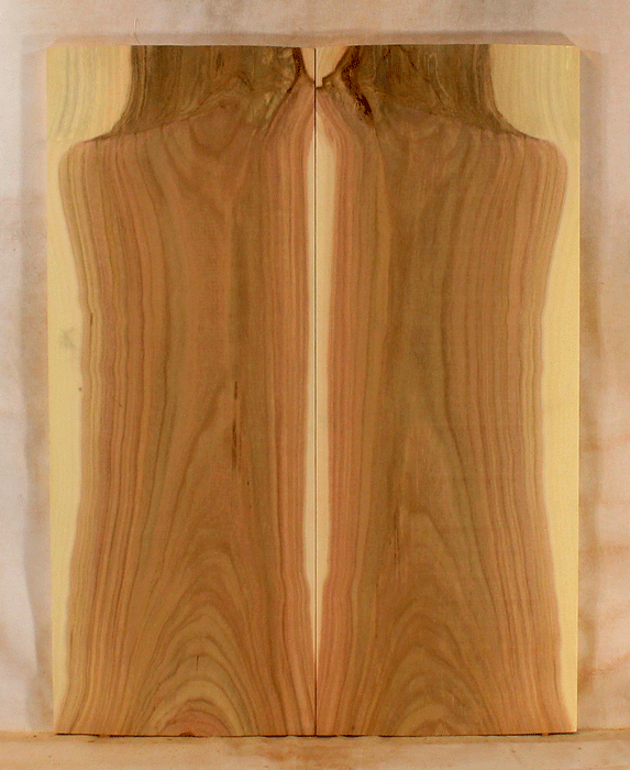 Pistachio Solid Body Guitar Fat Top, Recovered From Orchards in Central California Making it the Most Eco-Friendly and Sustainable Guitar Wood (KT34)