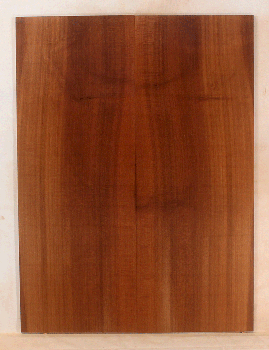 Acoustic Guitar Soundboard