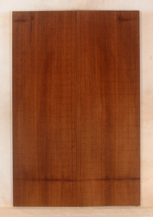 Acoustic Guitar Soundboard