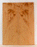 Redwood Solid Body Electric Guitar Droptop, Salvaged Old Growth from 1890’s and 1900’s, Eco-friendly, Outstanding Figure (KU02)