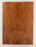Redwood Solid Body Electric Drop Top