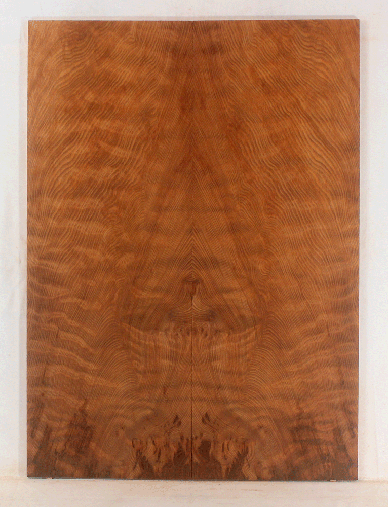 Redwood Solid Body Electric Drop Top