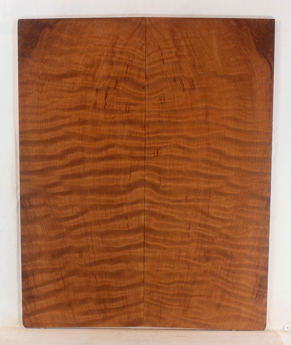 Redwood Solid Body Electric Drop Top