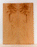Redwood Solid Body Electric Guitar Droptop, Salvaged Old Growth from 1890’s and 1900’s, Eco-friendly, Outstanding Figure (KU08)