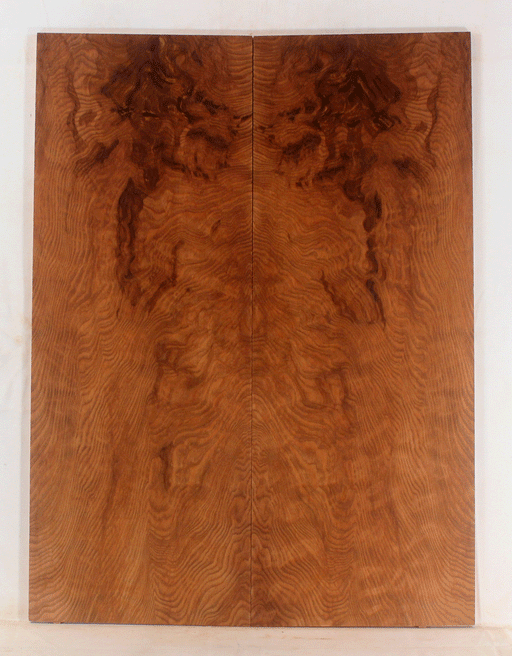 Redwood Solid Body Electric Drop Top