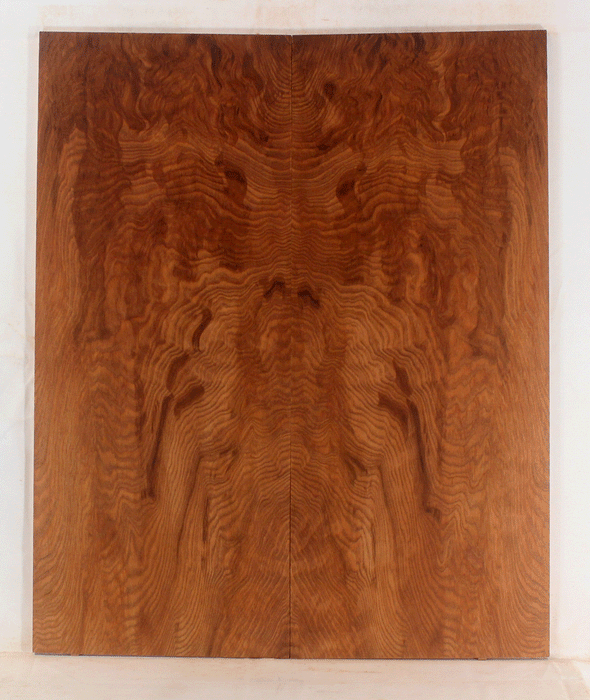 Redwood Solid Body Electric Drop Top