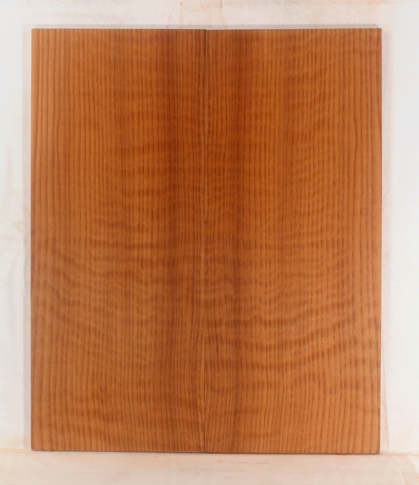 Redwood Solid Body Electric Top