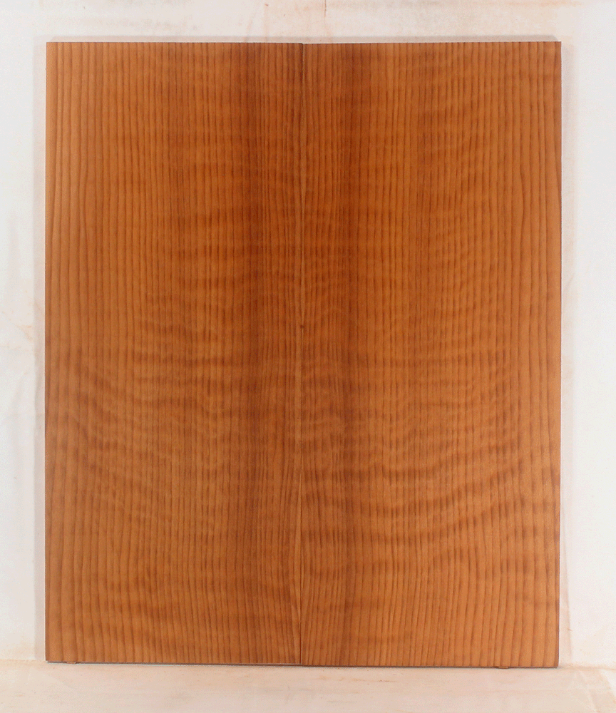 Redwood Solid Body Electric Top