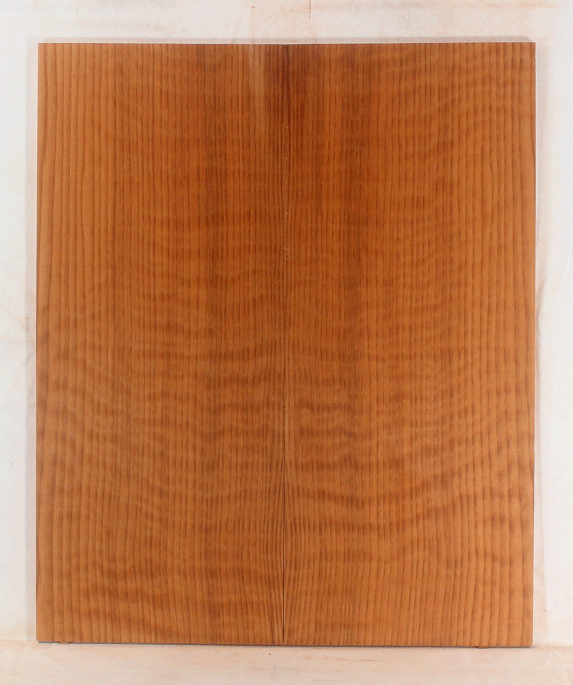 Redwood Solid Body Electric Drop Top