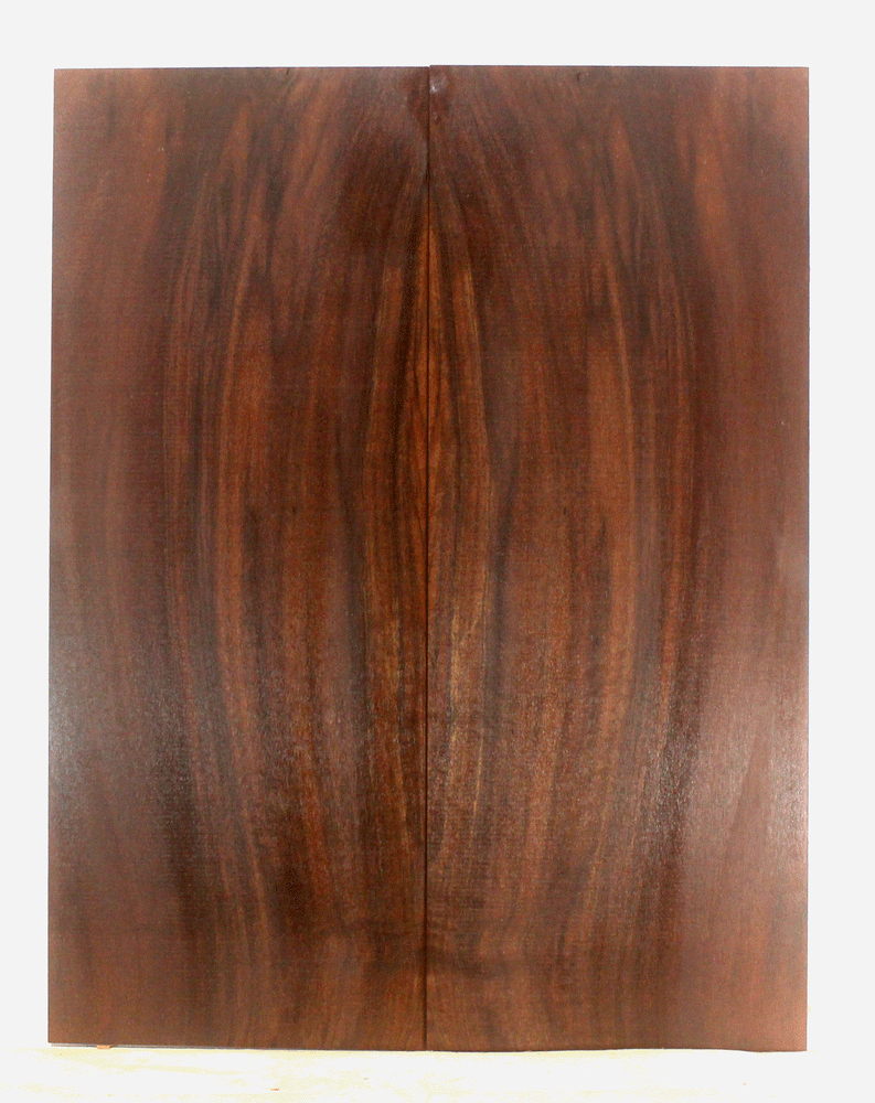 Claro Walnut Solid Body Guitar Top