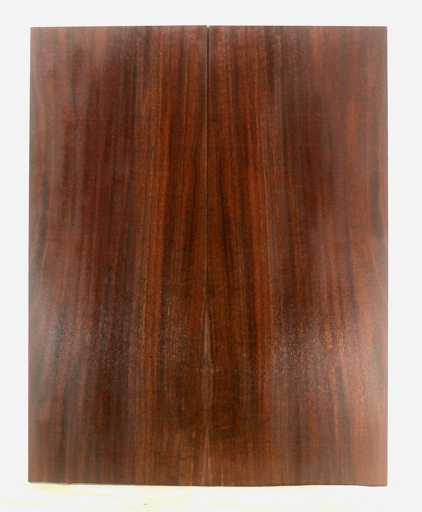 Claro Walnut Electric Guitar Top