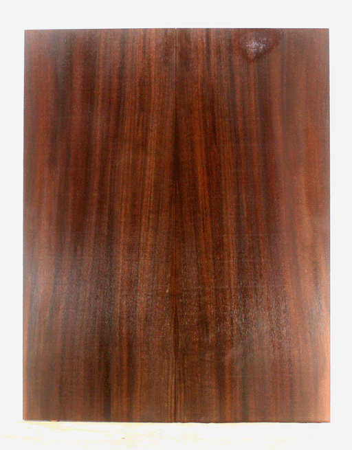 Claro Walnut Electric Guitar Top