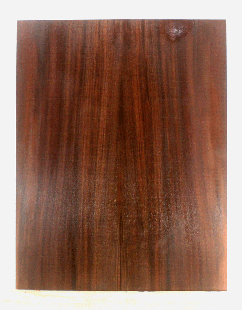 Claro Walnut Electric Guitar Top