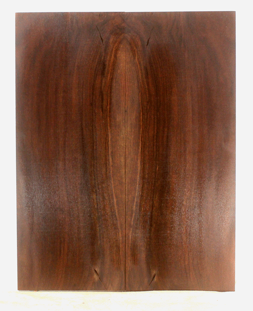 Claro Walnut Solid Body Guitar Top