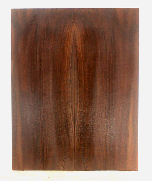 Claro Walnut Solid Body Electric Guitar Top
