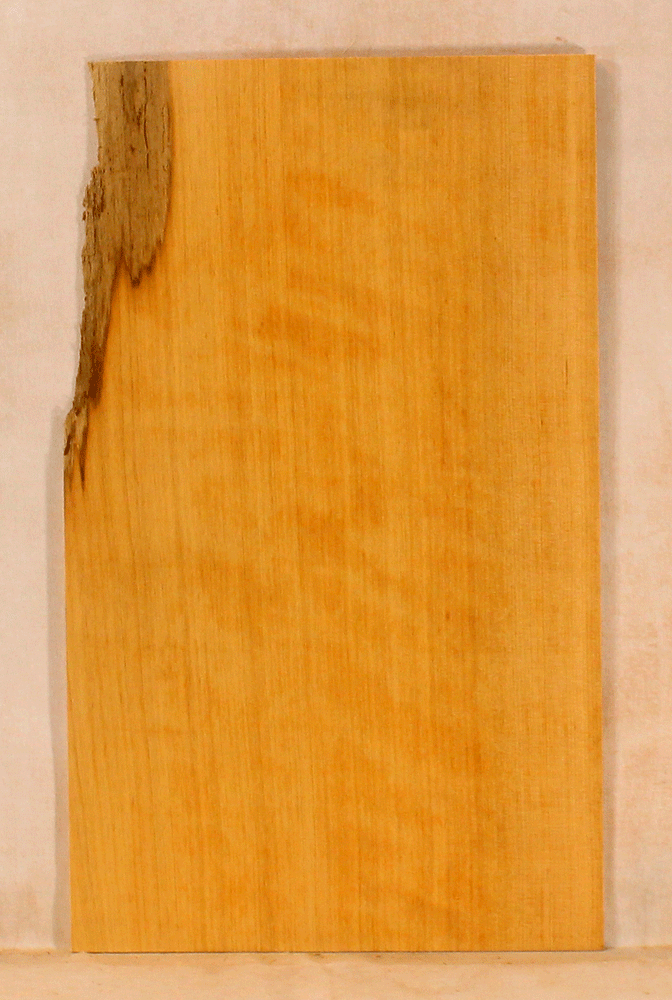 Port Orford Cedar Ukulele Soundboard