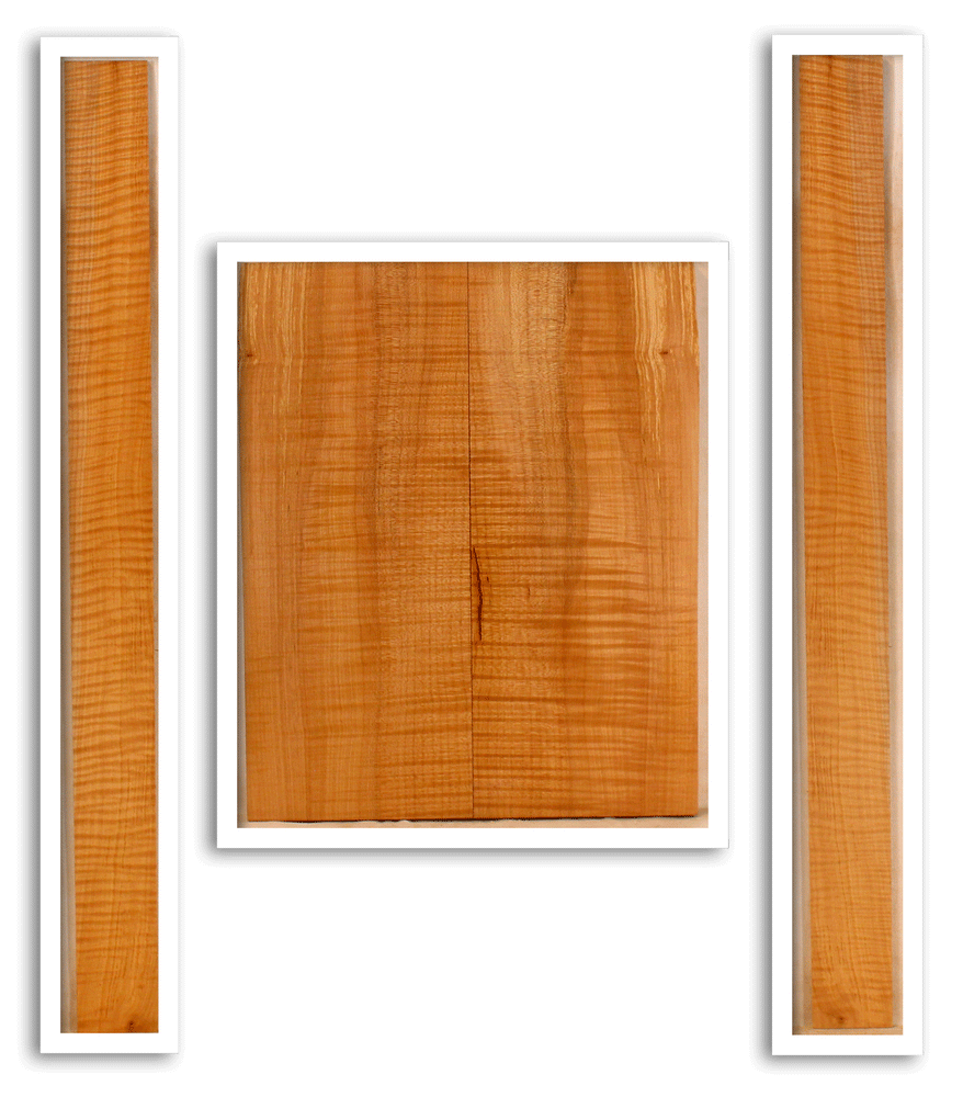 Maple Mandolin Archtop Back and Sides