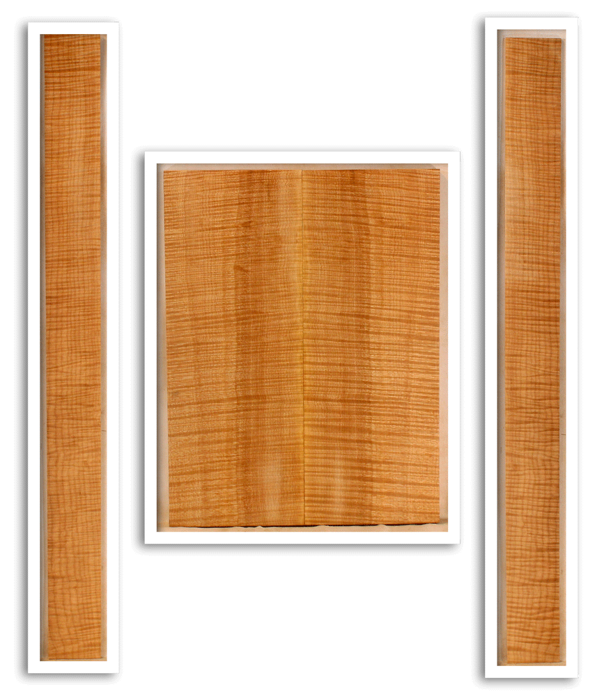 Maple Mandolin Archtop Back and Sides